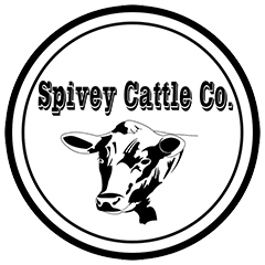 Spivey Cattle Logo